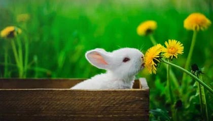 开云下载-巴黎客场-力擒皇马，欧冠晋级悬念，欧冠巴黎主场