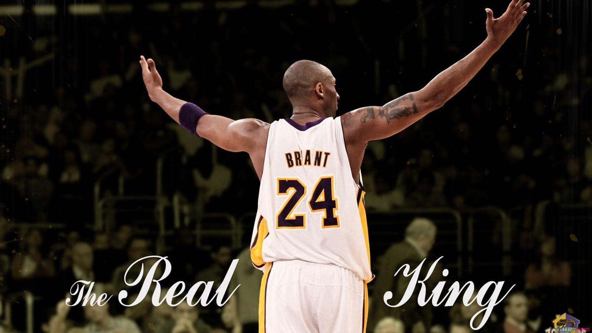 开云app下载-森林狼新秀表现获得球迷认可，森林狼近况